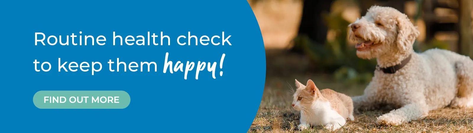 Eastcott Vets: Award-winning Swindon & Marlborough Vets Near Me