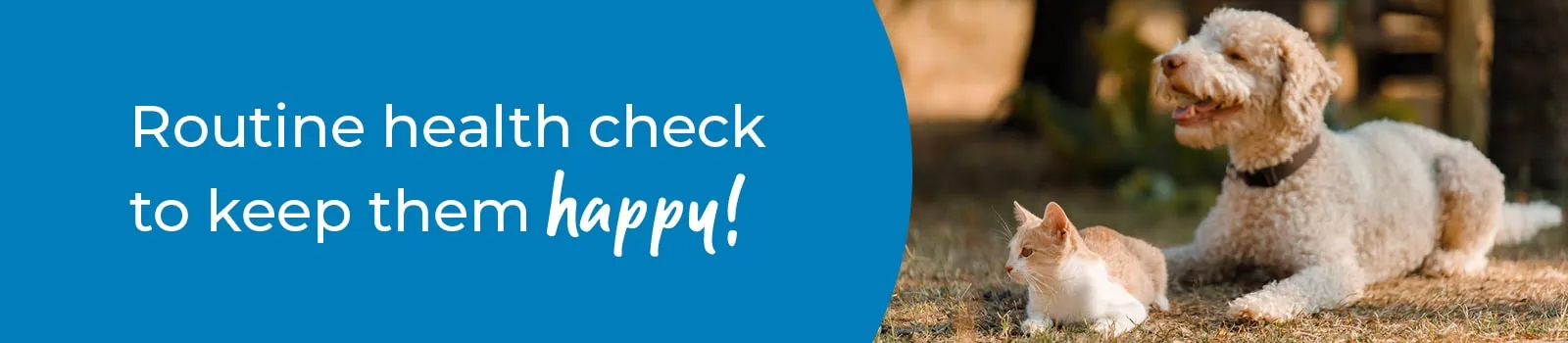 Pet Health Check in Swindon | Preventative Vet Care | Eastcott Vets