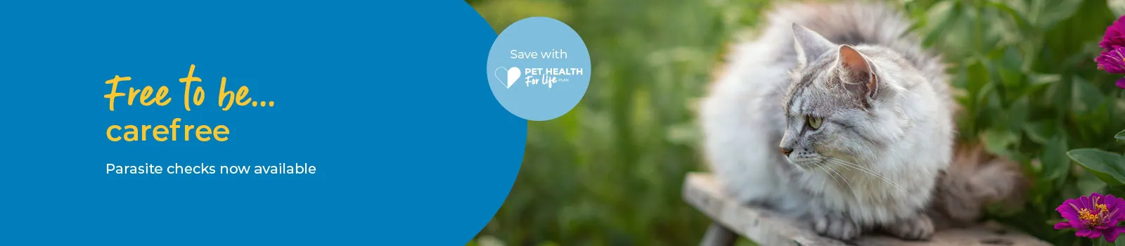 Flea and Worm Treatment | Dogs, Cats & Rabbits | Eastcott Vets