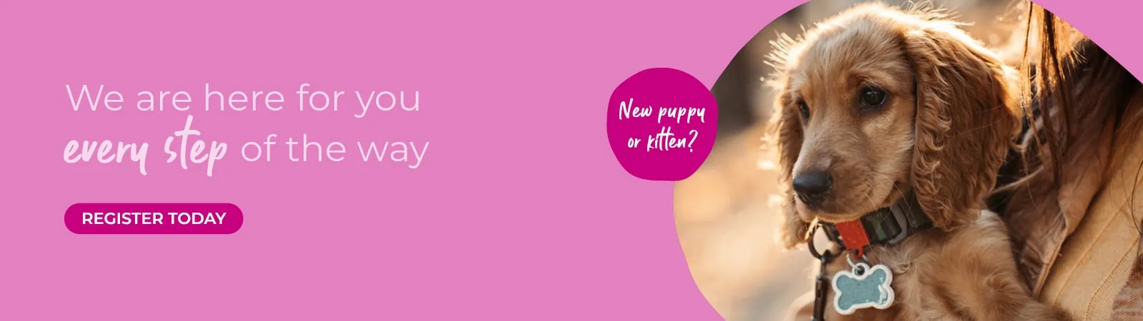 Eastcott Vets: Award-winning Swindon & Marlborough Vets Near Me