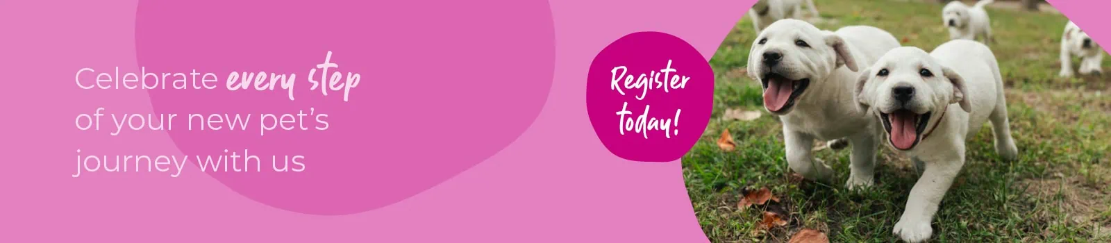 Start of Life Puppy & Kitten Care Swindon | Eastcott Vets