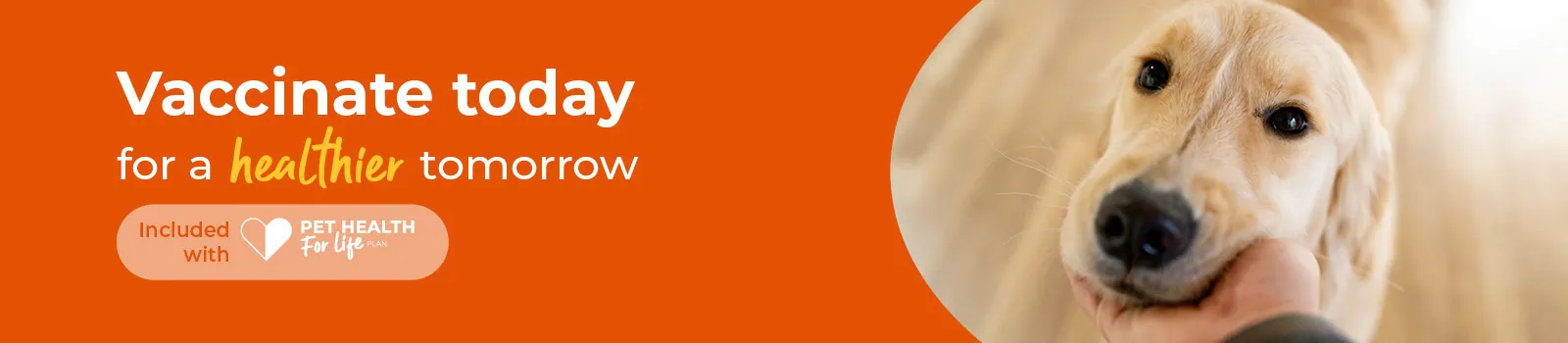 Pet Vaccinations | Pet Healthcare Swindon | Eastcott Vets